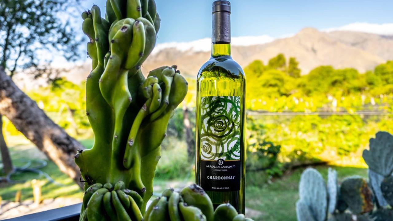 Araoz De Lamadrid Hotel&Bodega San Javier  Dış mekan fotoğraf