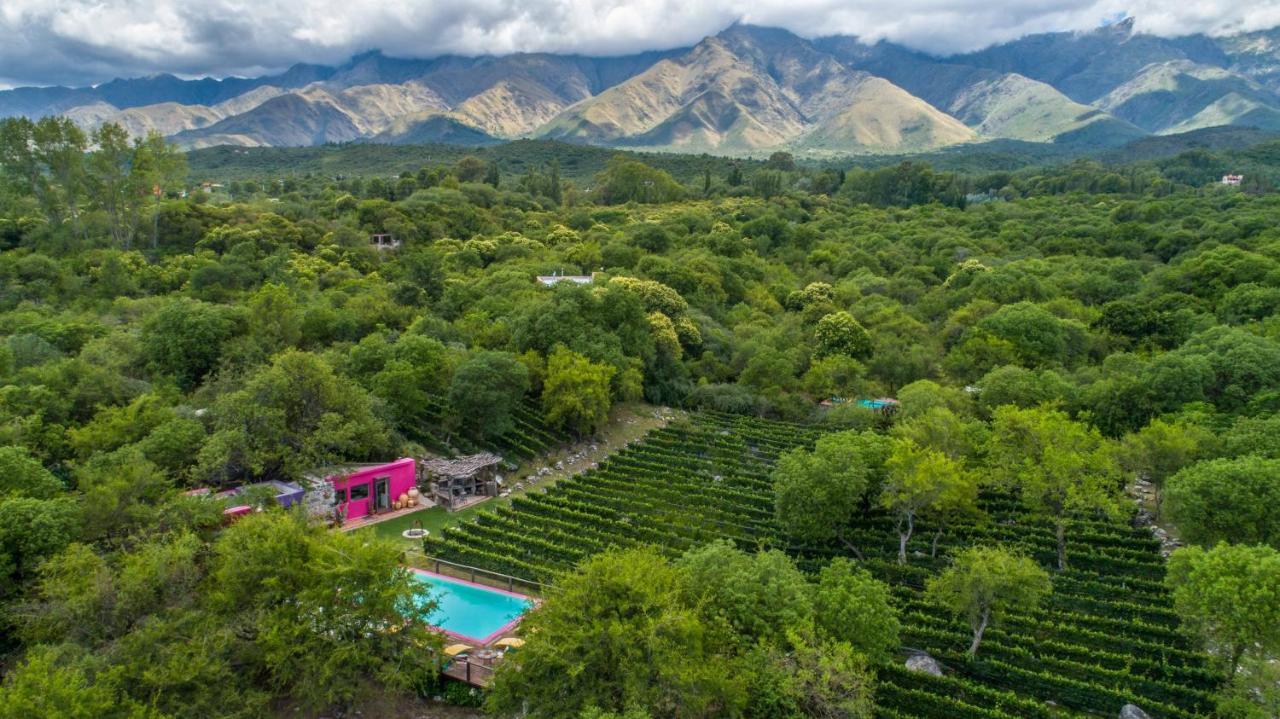 Araoz De Lamadrid Hotel&Bodega San Javier  Dış mekan fotoğraf